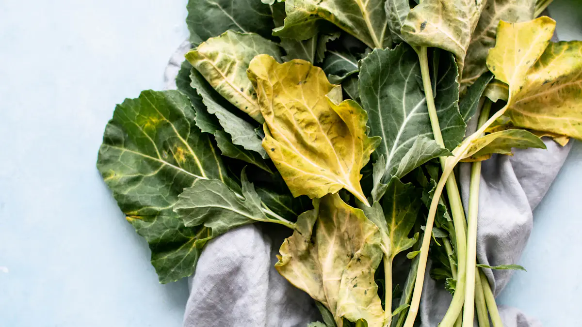 Recipes & Prep